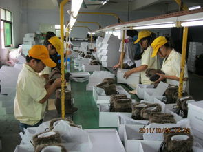 檢品工廠一站式服務(wù) 包裝、配送與家政支持一體解決方案